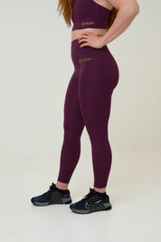 Obsession Purple Tights